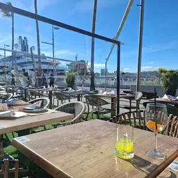 Amigos Muelle Uno - Restaurante Indio Mexicano - Indian