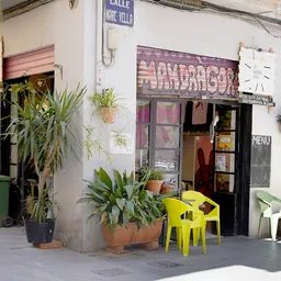 Asociación Cultural Gastronómica Vegana La Mandrágora - Vegetarian & Vegan