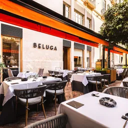 Beluga - Mediterranean Restaurant - Mediterranean