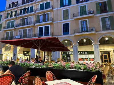 Bodega Mayor - Tapas in Palma de Mallorca