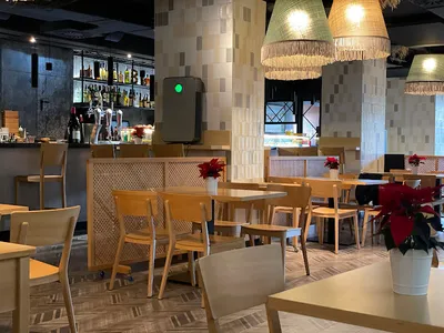 BuleBar Zentro - Restaurante - Arrocería - Restaurant in Zaragoza