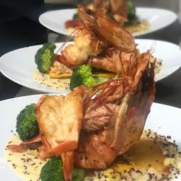 Cevitxef Bilbao - Peruvian