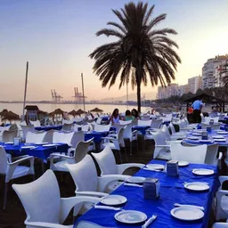 Chiringuito El Cachalote - Bar