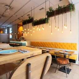 Circo Alicante - American