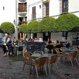 Cosmopolitan Food Restaurante & Terraza - Mediterranean