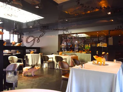 DiverXO - Fine Dining in Madrid