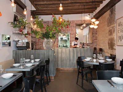 Frenchie - French in Paris