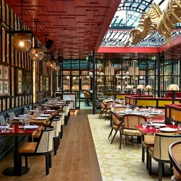 JNcQUOI Asia - Asian