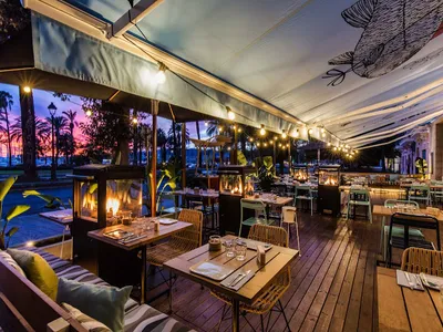 La Caña - Mediterranean in Palma de Mallorca