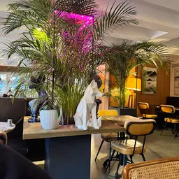 PASQUAL+SHEILA | Plaza de la Reina - Mediterranean