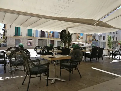 Restaurant Malaga | Vino Mío - Fusion in Malaga