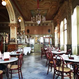 Restaurante Café Royalty - Restaurantes en Cádiz - Restaurant