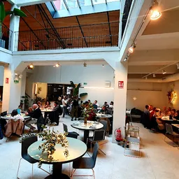 Restaurante Herculina - Fusion