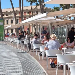 Restaurante Mediterraneum - Alicante - Restaurant