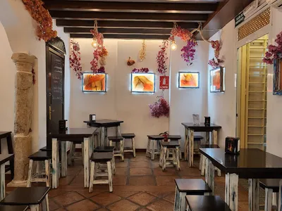 Restaurante Oliva - Mediterranean in Malaga