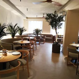 Saona Casino - Mediterranean