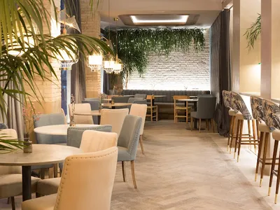 Saona TAGOMAGO Valencia - Mediterranean in Valencia