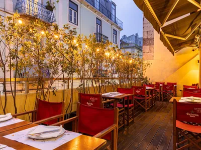 Tapa Bucho - Tapas in Lisbon