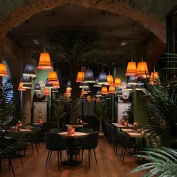 Thai Mongkut | El Carmen - Thai