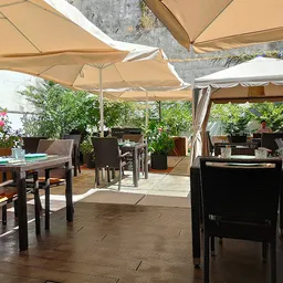 #Treestory - European