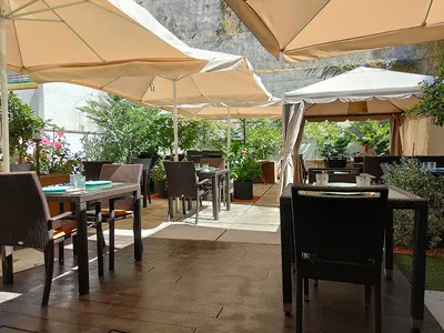 #Treestory - European in Lisbon